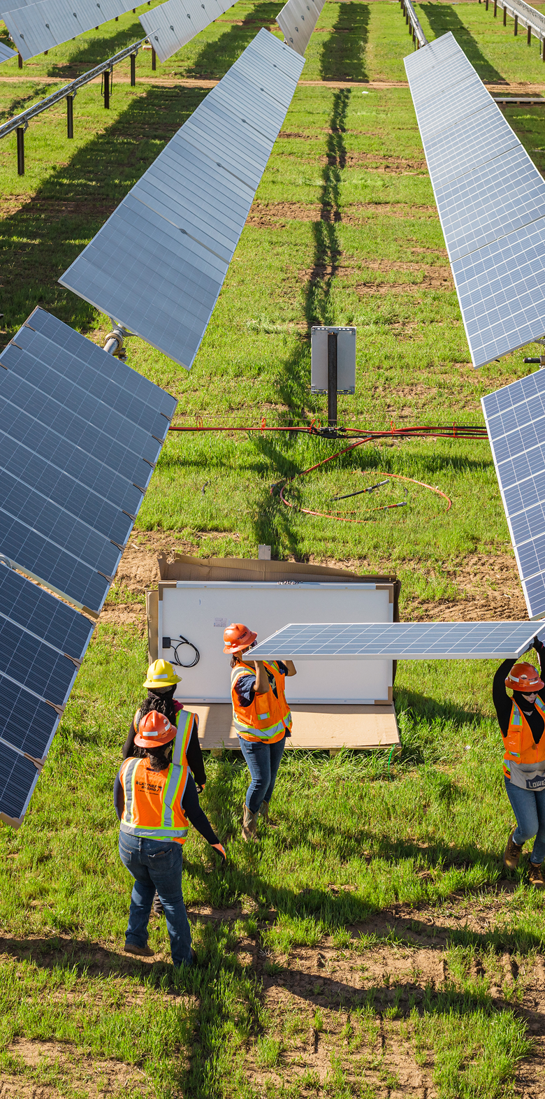Team installing solar panels in a field